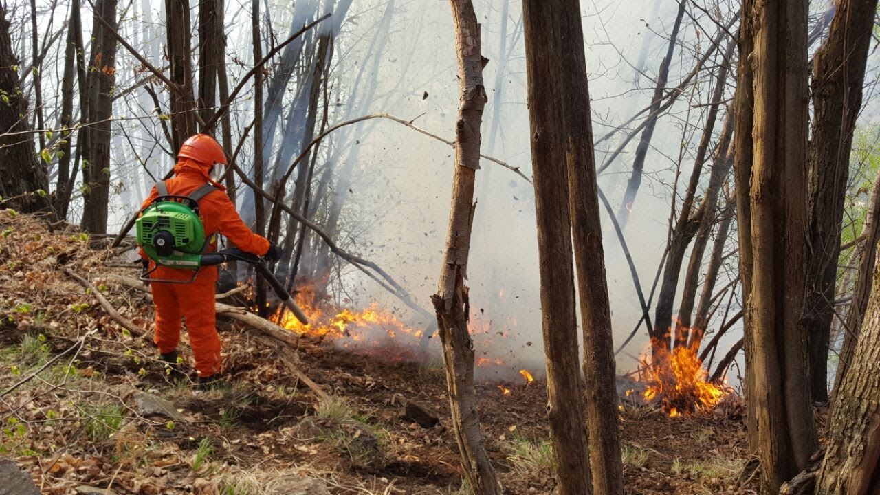 Il Corpo Volontari AIB del Piemonte schierato con mezzi di comunicazione avanzati per assistere i cittadini  nell’emergenza COVID-19